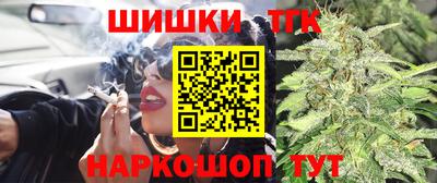 тгк Будённовск