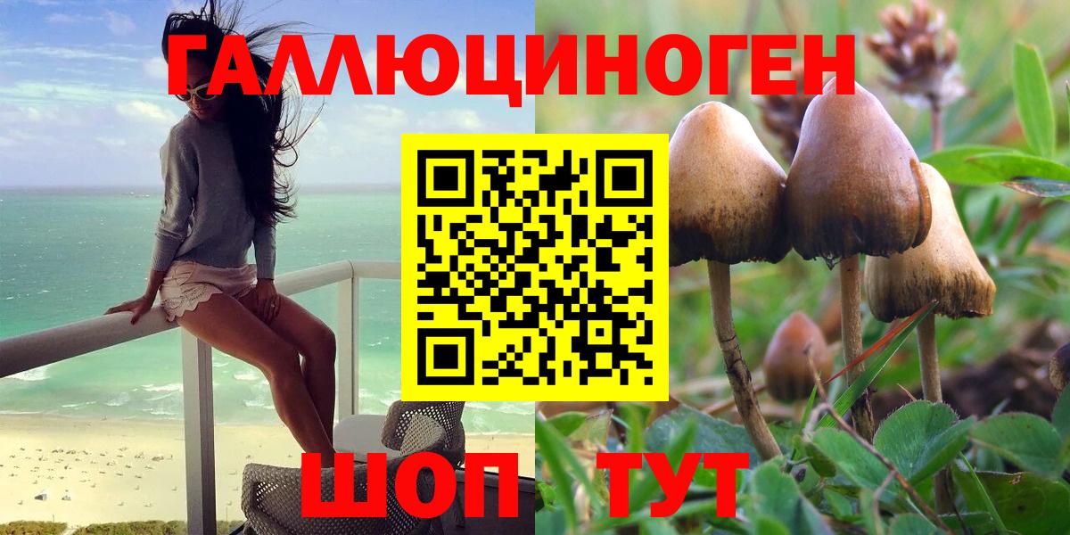 Псилоцибиновые грибы мухоморы Сальск