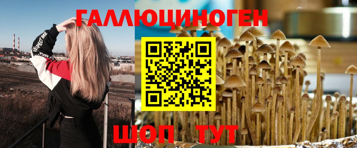 Псилоцибиновые грибы Сальск