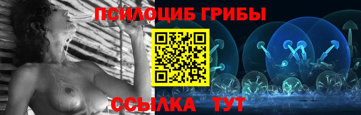Галлюциногенные грибы прущие грибы  Вход с VPN  цена наркотик  Сальск 